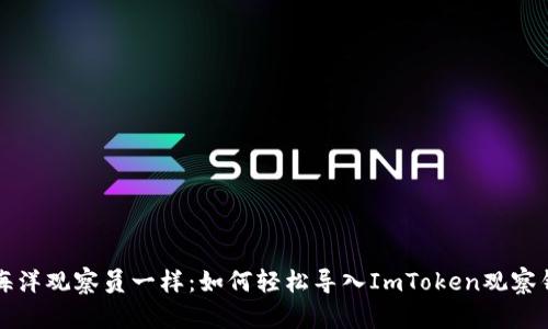 “像海洋观察员一样：如何轻松导入ImToken观察钱包”