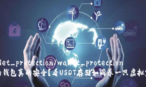 wallet_protection/wallet_protection
你的钱包真的安全？看USDT存储如同养一只虚拟宠物
