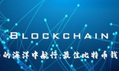 在数字货币的海洋中航行