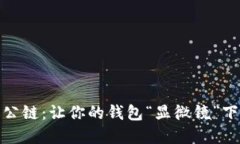 探秘虚拟币公链：让你的