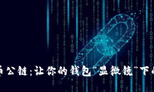 探秘虚拟币公链：让你的钱包“显微镜”下的每一分钱