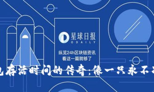 比特币钱包存活时间的传奇：像一只永不凋谢的玫瑰