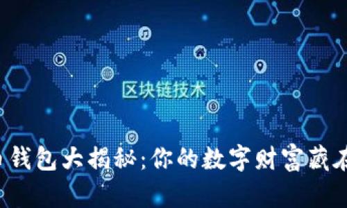 比特币钱包大揭秘：你的数字财富藏在哪儿？