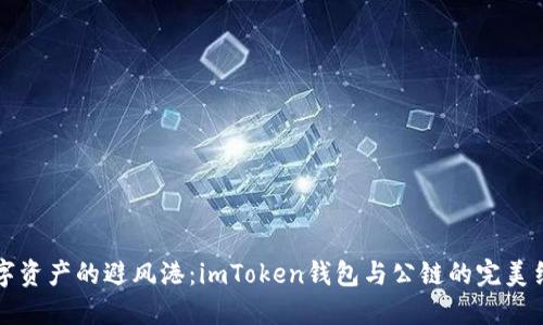 “数字资产的避风港：imToken钱包与公链的完美结合”