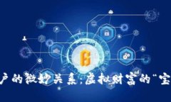 比特币钱包与账户的微妙