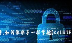 在数字货币的海洋中，如