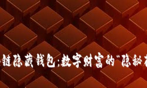 区块链隐藏钱包：数字财富的“隐秘花园”