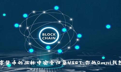 如何在数字货币的丛林中安全归集USDT：你的Omni钱包导航指南
