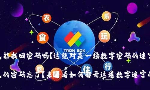 IM钱包能找回密码吗？这绝对是一场数字密码的迷宫探险！

IM钱包的密码忘了？来看看如何解开这道数字迷宫的密码！