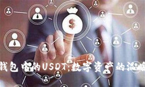 : 热钱包中的USDT：数字资产的温暖港湾