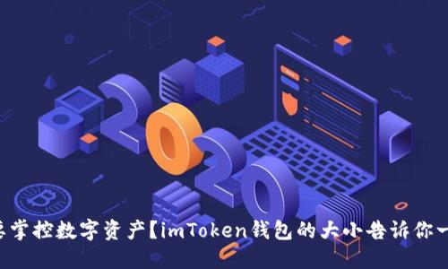 想要掌控数字资产？imToken钱包的大小告诉你一切！