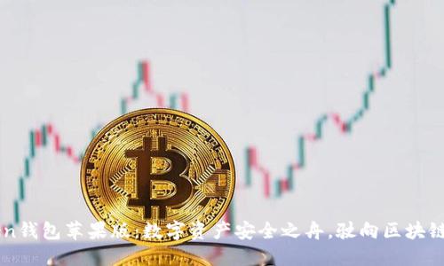imToken钱包苹果版：数字资产安全之舟，驶向区块链的彼岸