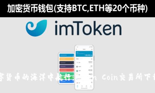 在数字货币的海洋中航行：Token Coin交易所下载指南
