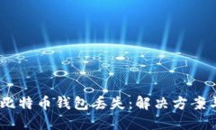 :如何应对比特币钱包丢失