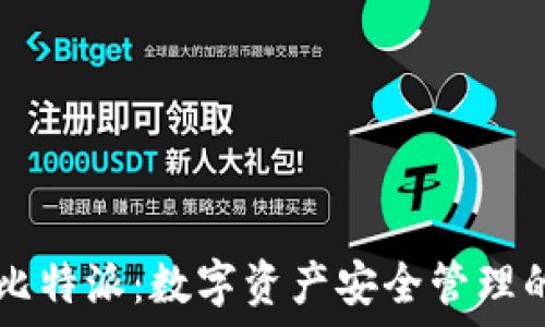   
IM钱包与比特派：数字资产安全管理的最佳选择