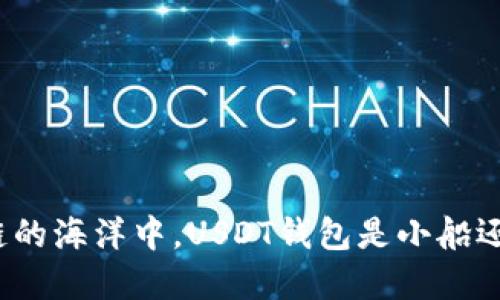 在区块链的海洋中，USDT钱包是小船还是巨轮？