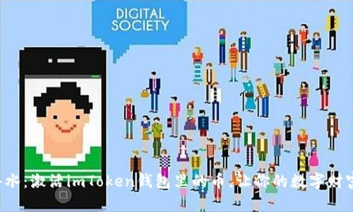 如何如鱼得水：激活imToken钱包里的币，让你的数字财富畅游无阻！