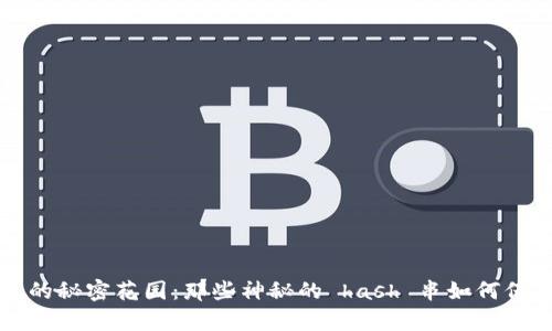 比特币钱包的秘密花园：那些神秘的 hash 串如何保护你的财富