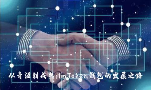 从青涩到成熟：imToken钱包的发展之路