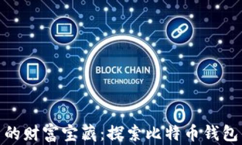 
硬盘中的财富宝藏：探索比特币钱包的秘密