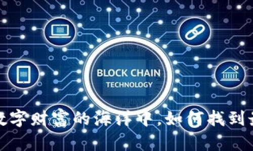 比特币现金：在数字财富的海洋中，如何找到最佳的“宝藏箱”?