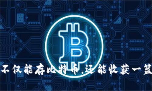 比特币钱包：不仅能存比特币，还能收获一篮子数字财富！