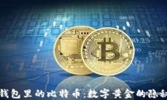 加密钱包里的比特币：数