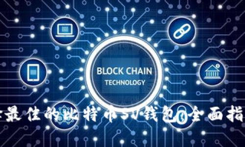 如何选择最佳的比特币SV钱包：全面指南与推荐