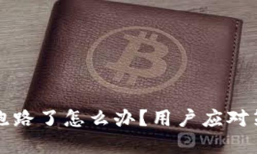 IMTOKEN钱包跑路了怎么办？用户应对策略与解决方案