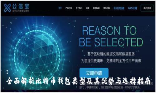 :
全面解析比特币钱包类型及其优势与选择指南