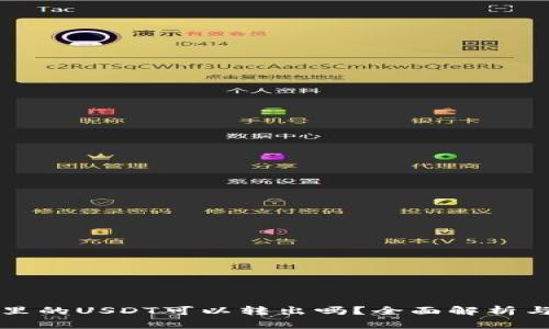 雷达钱包里的USDT可以转出吗？全面解析与操作教程