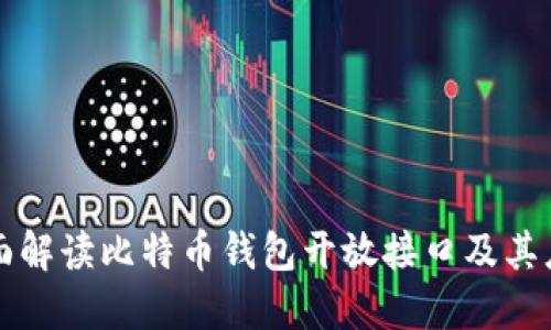 全面解读比特币钱包开放接口及其应用